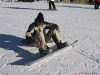 Denis en snowboard